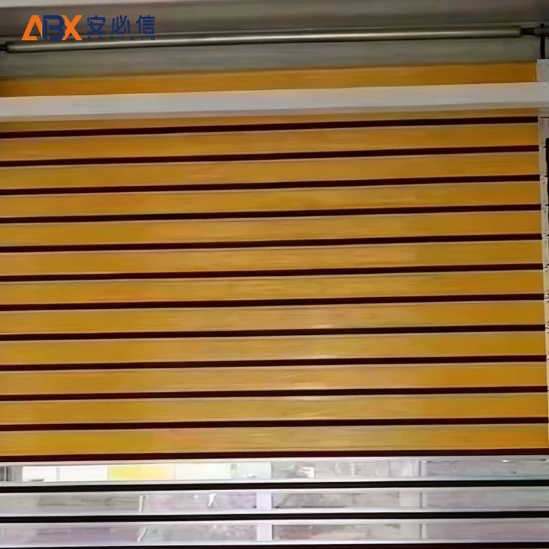 阿里地区雷达高速门