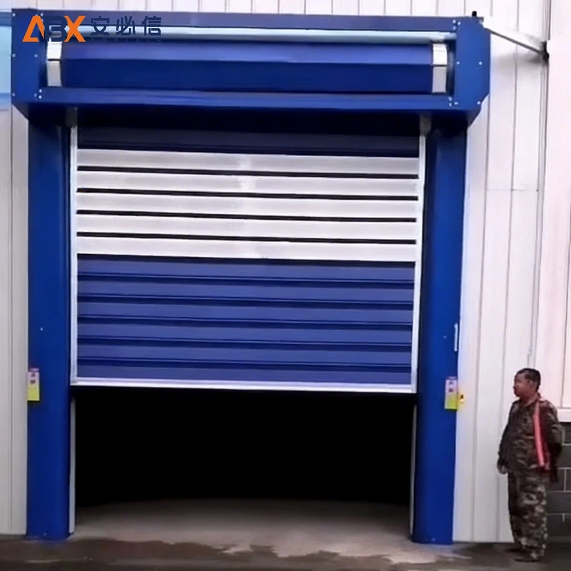 阿里地区金属高速门